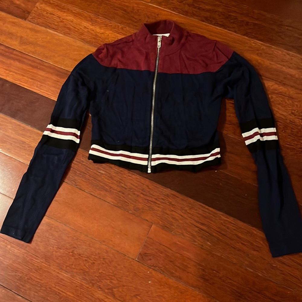 LF Seek Label | Blue Burgundy Crop Sweater Striped XS